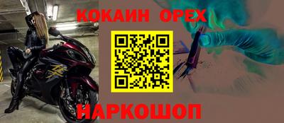 СК Гатчина