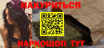 СК Гатчина