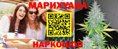 СК Гатчина