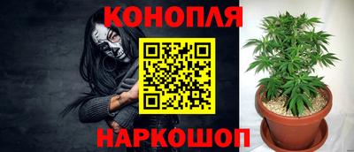 jwh Гай