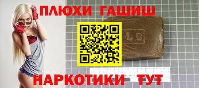 СК Гатчина