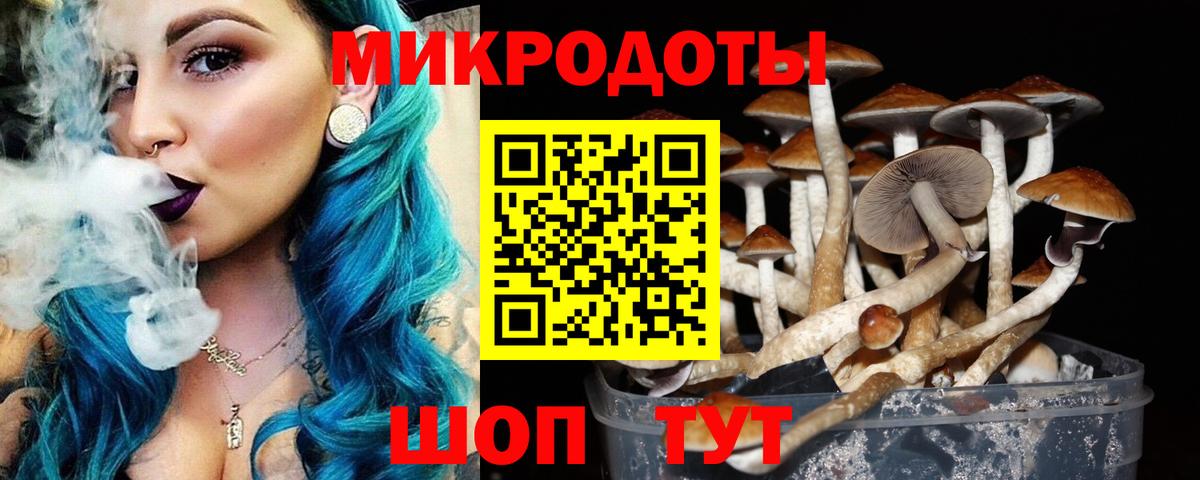 Псилоцибиновые грибы Cubensis  Псилоцибиновые грибы Psilocybe  купить наркоту  Вход с VPN  Белая Калитва 